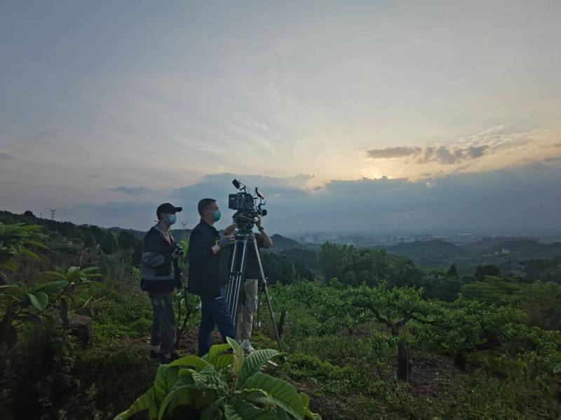 创意破圈！云浮电商产品宣传视频用故事化叙事引爆流量