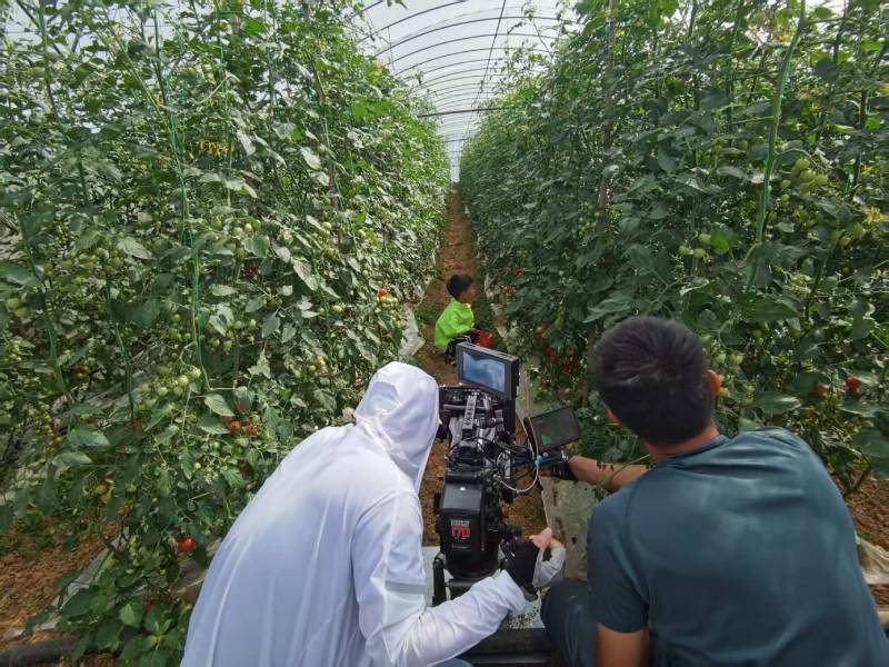 云浮产品宣传视频拍摄公司进阶指南，助力品牌抢占传播高地